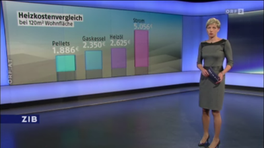 Heizkostenvergleich im ORF Bericht