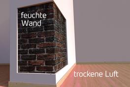 Feuchte Wand